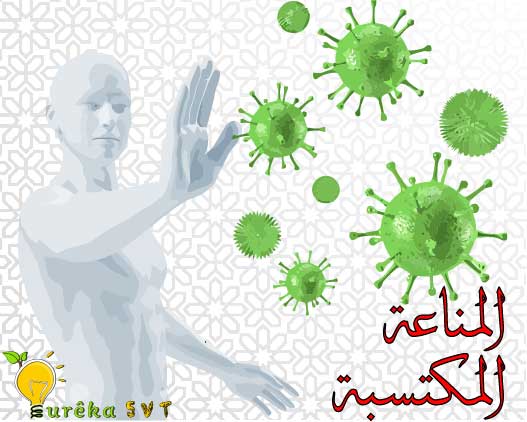 درس مناعة الجسم - المناعة المكتسبة
