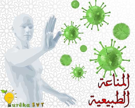 درس مناعة الجسم - المناعة الطبيعية